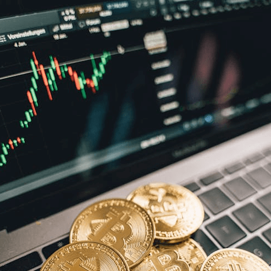 Progres Bitrevox echipa de experți în cripto-investiții